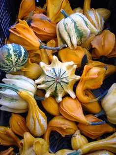 pumpkins and gourds sitting in a basket