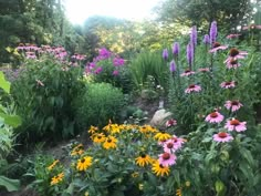 a garden filled with lots of different types of flowers