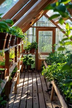 an indoor greenhouse filled with lots of green plants and potted plants in wooden shelves