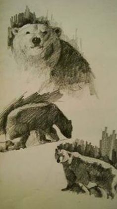 two drawings of bears and sheep in front of a cityscape