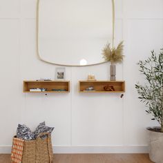 a mirror and some shelves with plants in them on the wall next to a potted plant