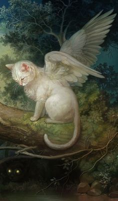 a white cat sitting on top of a tree branch next to a black cat with wings