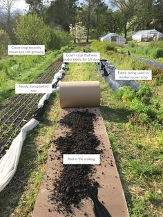 an image of a garden with dirt and plants on the ground in front of train tracks