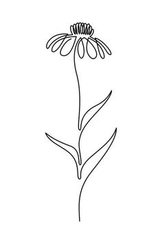 the outline of a flower on a white background, with one line drawn to it