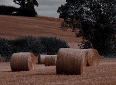 three bales of hay sitting in the middle of a field