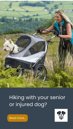 Hiking with your dog Sporty Dog, Dog Trailer, Hybrid Bicycle, Spoiled Dogs, Winter Riding, Comfort Bike