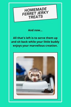 an advertisement for a ferretterry treats product