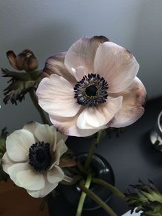 three flowers in a vase on a table