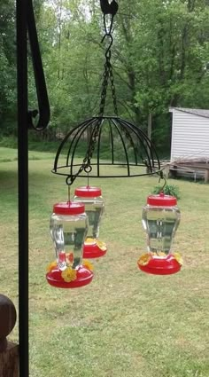 four hanging bird feeders in the yard