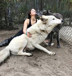 a woman sitting on the ground next to a large white and black dog with her mouth open