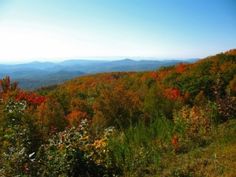 the mountains are covered in colorful foliage and trees with red, yellow, and green leaves