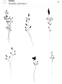 four different types of flowers drawn in ink