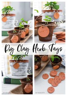 the instructions for making clay herb tags are shown in four different pictures, with text overlaying them