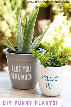 two potted plants sitting next to each other on top of a table with the words, aloe you vera much diy punny plants