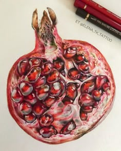 a drawing of a pomegranate on paper with colored pencils next to it