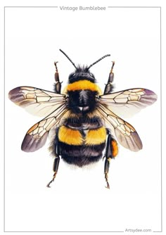 a drawing of a bee with yellow and black stripes