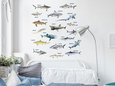 a bedroom with shark wall decals on the wall and bed in the foreground