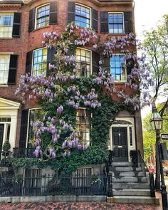 a large brick building with purple flowers growing on it's side and stairs leading up to the front door