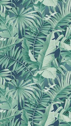 a green and blue wallpaper with tropical leaves