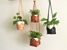 three hanging planters with plants in them on the wall next to a white wall