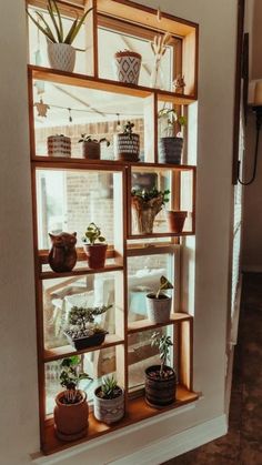 several potted plants are displayed on a window sill in the corner of a room