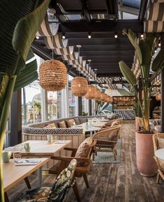 the interior of a restaurant with wooden tables and wicker chairs, potted plants, and large windows