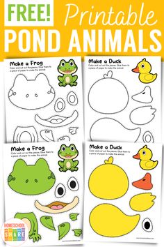 Animal Habitats Preschool Crafts, Pond Animals Preschool Crafts, Pond Crafts For Toddlers, Pond Animal Crafts, Pond Animals Preschool, Pond Life Crafts, Pond Animal Activities For Preschool, Pond Life Theme For Preschool