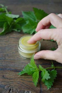 This healing pain-relieving salve alleviates inflammations, swellings, soreness and helps with skin irritations like psoriasis or eczema. Herbal Salve Recipes, Pain Relief Salve, Herbal Remedies Recipes, Natural Pain Relievers, Salve Recipes, Herbal Salves, Healing Remedies, Healing Salves, Pain Relief Cream