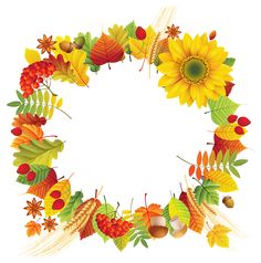 an autumn wreath with sunflowers, leaves and acorns on a white background