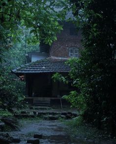 a house in the middle of some trees and bushes with water running down it's path