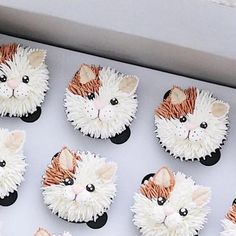 there are many cupcakes decorated to look like cats