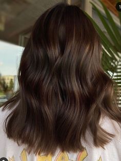 Brown Hair Inspo Straight, Shirt Dark Brown Hair, Cocoa Butter Hair Color, Spring Dark Hair Color, Short Thick Brown Hair, Rich Medium Brown Hair, Brushlight Hair Brown, Chocolate Brown Short Hair, Short Dark Brown Hair Aesthetic