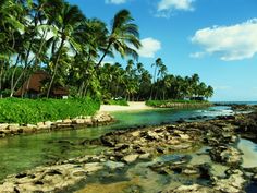 a tropical beach with palm trees and clear blue water in the foreground, surrounded by rocky shoreline