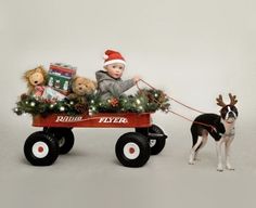 a dog pulling a wagon with teddy bears and christmas decorations on the front, while another dog watches