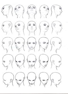 a bunch of different types of head shapes