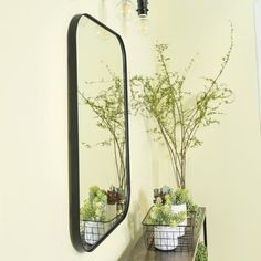 a mirror and some plants on a table