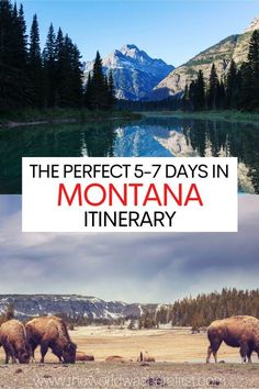 the perfect 5 - 7 days in montana itinerary