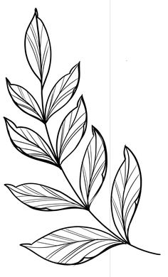 a black and white drawing of leaves