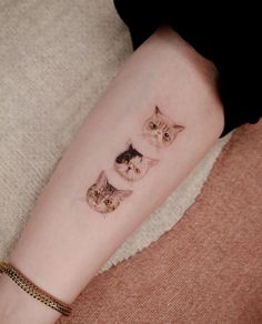 two cats tattoo on the arm