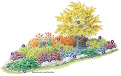 the different types of trees and shrubs are shown in this diagram, with their names