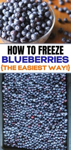 blueberries are the best way to freeze them and they're easy to make