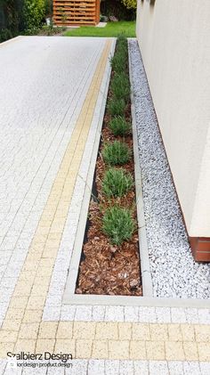 a small garden in the corner of a building with gravel and grass growing out of it