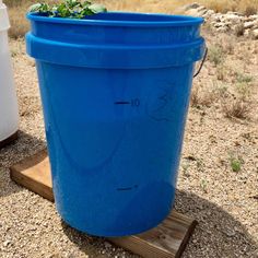 a large blue bucket sitting on top of a wooden stand next to a trash can