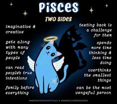 a blue cat with an angel on it's back and the words pisces written