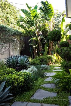 a garden with lots of green plants and rocks