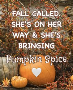 pumpkins and gourds with the words fall called she's on her way & she's bringing pumpkin spice