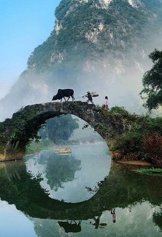 two people standing on a bridge over a river with cows walking across it and mountains in the background