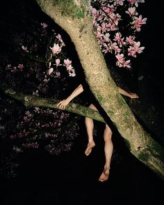 a person hanging upside down on a tree branch with pink flowers in the background at night