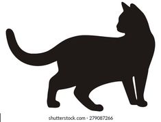 a black cat silhouetted against a white background