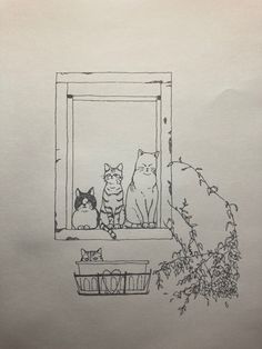 two cats are sitting on the window sill